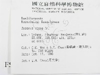 登錄號:F0005540藏品圖，第2張