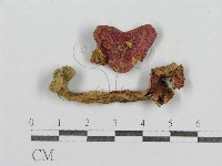 登錄號:F0005540藏品圖，第1張