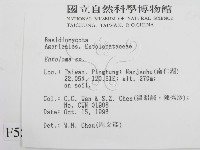粉褶菌屬藏品圖，第2張