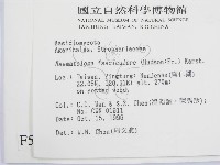 登錄號:F0005546藏品圖，第2張