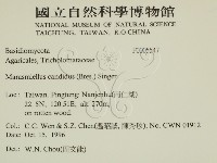 登錄號:F0005547藏品圖，第2張