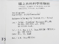 登錄號:F0005548藏品圖，第2張
