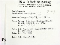 登錄號:F0005549藏品圖，第2張