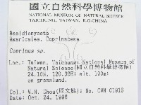 鬼傘屬藏品圖，第2張