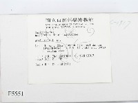 登錄號:F0005551藏品圖，第2張