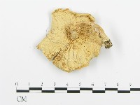 登錄號:F0005551藏品圖，第1張