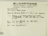 登錄號:F0005552藏品圖，第2張