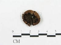 登錄號:F0005554藏品圖，第1張