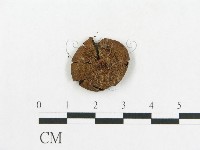 登錄號:F0005554藏品圖，第3張