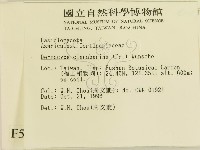 登錄號:F0005555藏品圖，第2張