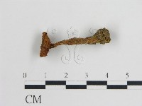 登錄號:F0005555藏品圖，第1張