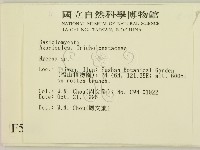 小菇屬藏品圖，第2張