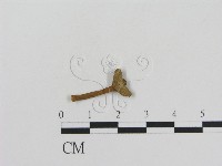 登錄號:F0005557藏品圖，第1張