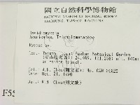 小菇屬藏品圖，第2張