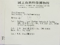 小菇屬藏品圖，第2張