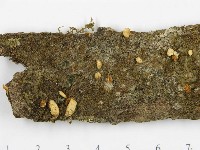 登錄號:F0005565藏品圖，第3張