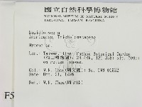 小菇屬藏品圖，第2張