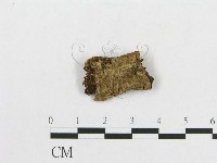 登錄號:F0005568藏品圖，第1張