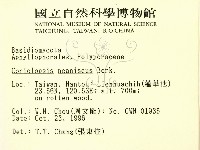 登錄號:F0005569藏品圖，第2張