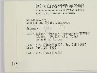 小菇屬藏品圖，第2張