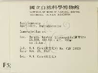 登錄號:F0005571藏品圖，第2張