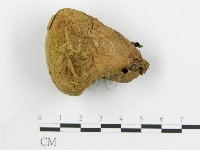 登錄號:F0005573藏品圖，第3張