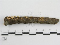 登錄號:F0005574藏品圖，第3張