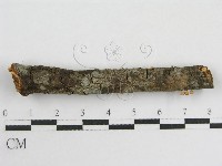 登錄號:F0005574藏品圖，第8張