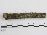 登錄號:F0005574藏品圖，第9張