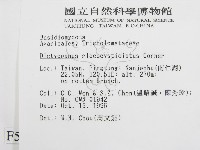 登錄號:F0005575藏品圖，第2張