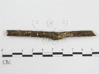 登錄號:F0005575藏品圖，第4張