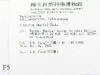 登錄號:F0005576藏品圖，第2張