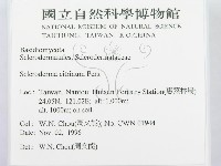 登錄號:F0005577藏品圖，第2張