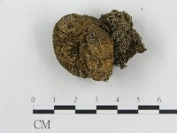 登錄號:F0005577藏品圖，第1張