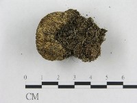 登錄號:F0005577藏品圖，第3張