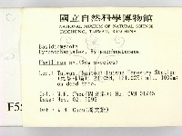 木層孔菌屬藏品圖，第2張