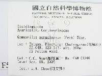 登錄號:F0005579藏品圖，第2張