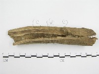 登錄號:F0005580藏品圖，第1張