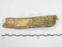 登錄號:F0005580藏品圖，第3張