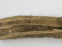 登錄號:F0005580藏品圖，第4張