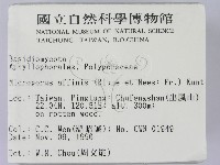 相鄰小孔菌藏品圖，第2張