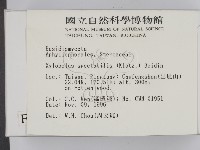 登錄號:F0005584藏品圖，第2張