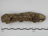 登錄號:F0005584藏品圖，第3張