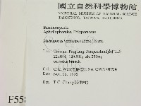 登錄號:F0005586藏品圖，第2張