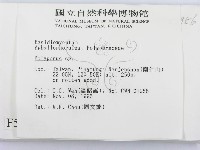 多孔菌屬藏品圖，第2張