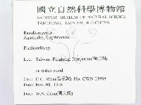 登錄號:F0005590藏品圖，第2張