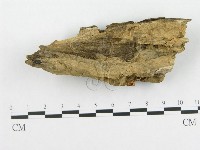 登錄號:F0005590藏品圖，第1張