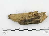 登錄號:F0005590藏品圖，第3張