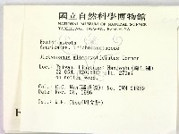 登錄號:F0005591藏品圖，第2張