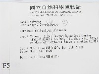 登錄號:F0005592藏品圖，第2張